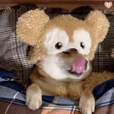 bob电子娱乐 いずれも地方自治体チームの韓国失業テニス界に韓国道路公社が公企業としては初めて合流した