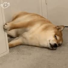 欧博信官网app下载 と言ってもスピリチュアル関連の知識は詳しくないので